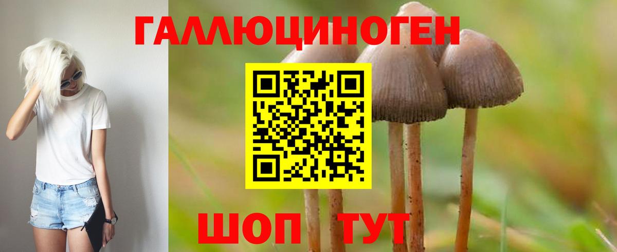 Псилоцибиновые грибы ЛСД Вязьма
